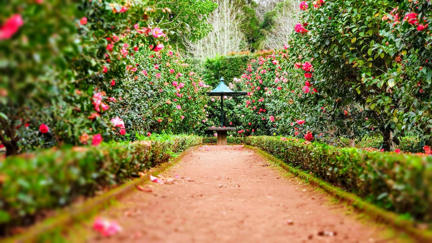 Aperçu du modèle Les Jardins d’Émile